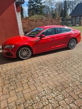 Audi A5 3.0 TDI S tronic quattro Sportback - - Audi A5: Rot, Sportback