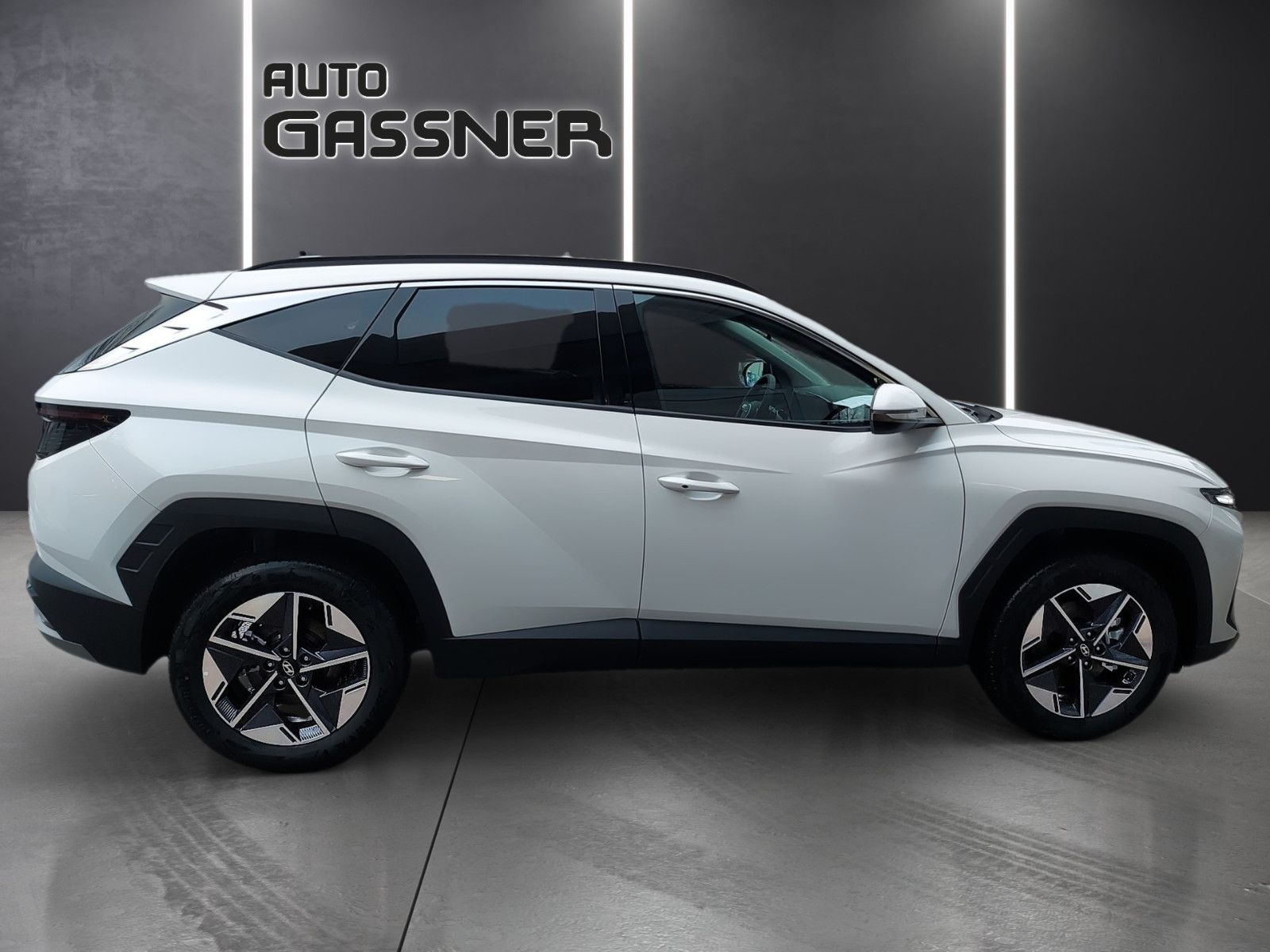 Fahrzeugabbildung Hyundai Tucson Hybrid 215 PS Trend 2WD Navi el. Heckkl.