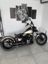 Harley-Davidson FLSTSB Softail Cross Bones - HARLEY-DAVIDSON FLSTS
