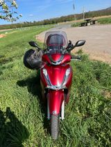 Honda SH 350 i - Offers matching your search criteria