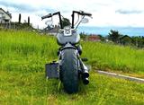 Harley-Davidson Softail Custom FXSTC - HARLEY-DAVIDSON SOFTAIL CUSTOM