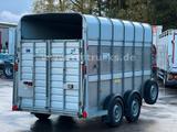 Ifor Williams TA35 PKW Tandem Viehanhänger - Viehanhänger