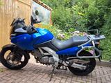 Suzuki V-Strom 650 - Angebote