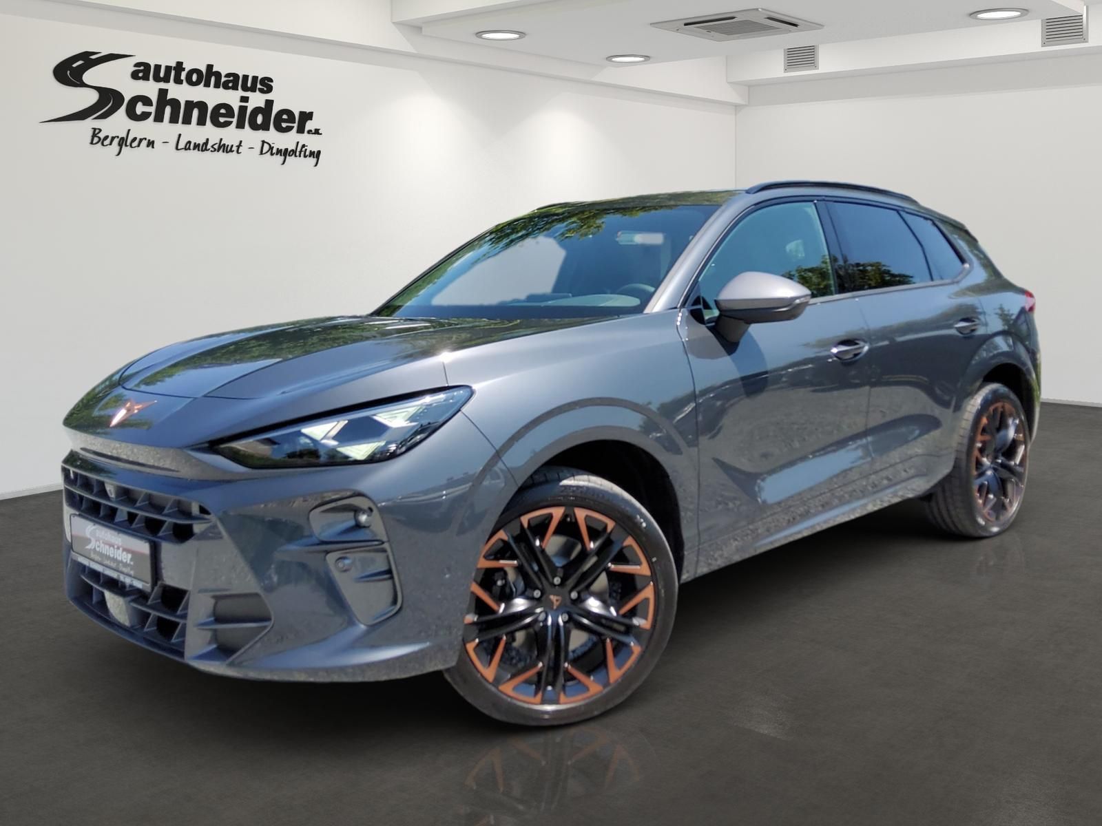 CUPRA TERRAMAR VZ 2.0 TSI 7DSG 4WD AHK/HuD/MATRIX/PANO