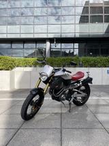 Derbi Mulhacén 659 - Stilvoller Einzylinder-Scrambler - Offers