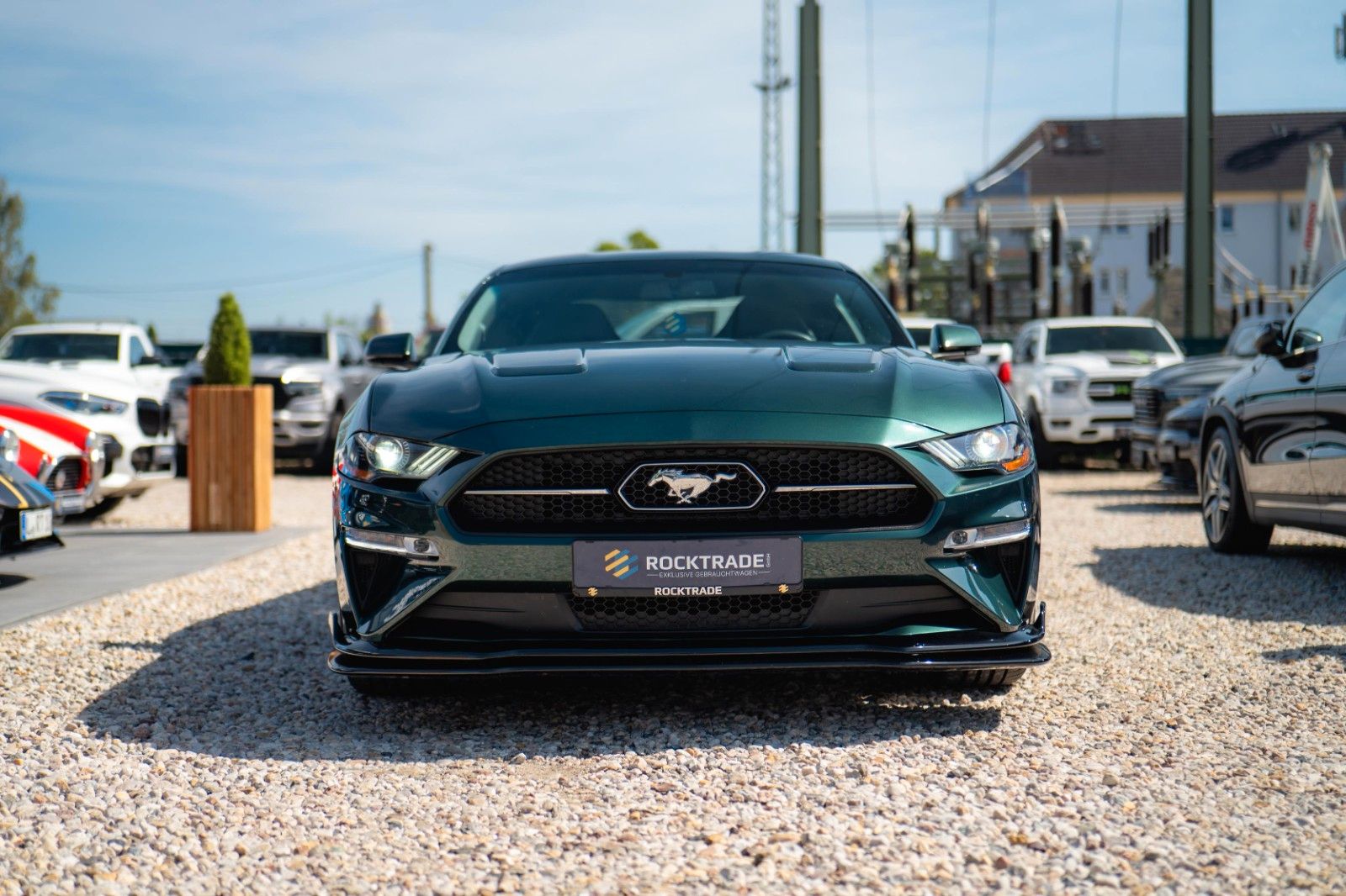 Fahrzeugabbildung Ford Mustang 5.0 V8 BULLITT 6-Gang RECARO Unfallfrei