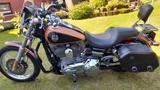 Harley-Davidson Dyna Super Glide Custom (105th limited) - HARLEY-DAVIDSON DYNA CUSTOM