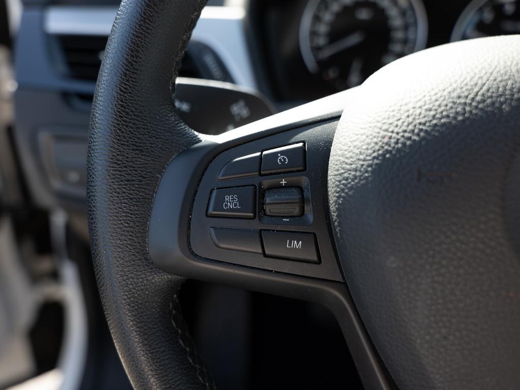 BMW X1 xDrive25e Advantage FACEL. AHK NAVI KAMERA, миниатюра 21
