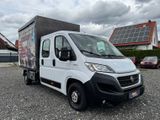 Fiat Ducato Pritsche/Plane Doppelk. 35 150 - Fiat Ducato pl