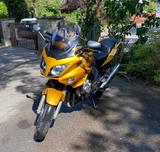 Honda CBF1000  Top Zustand  - Offers