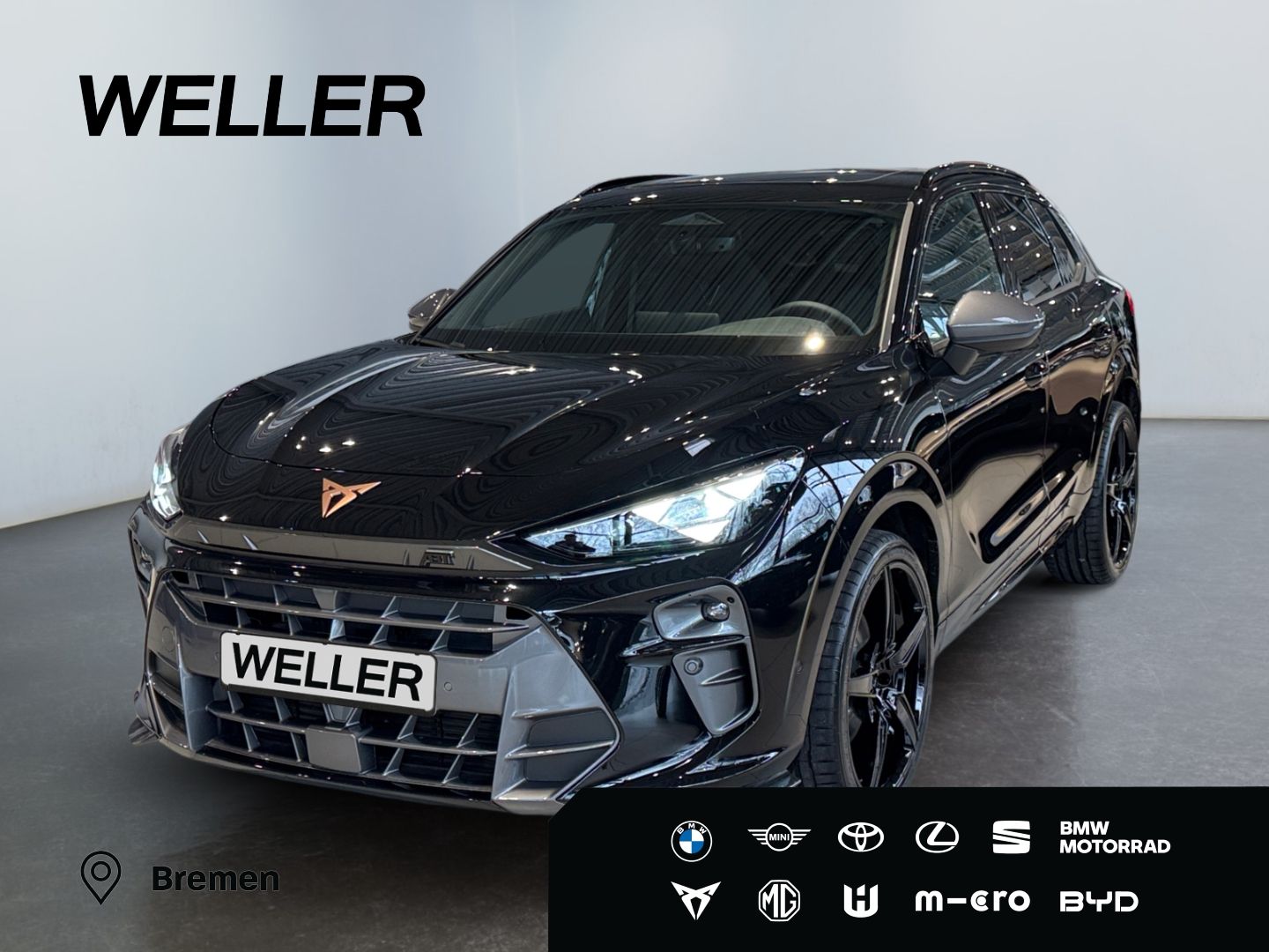 Cupra Terramar 2.0 TSI 4Drive DSG VZ ABT Umbau*Pano*HU