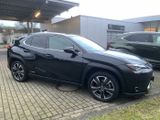 Lexus UX 250h Style Edition, Safety System, SHZ, TWA - Lexus in Braunschweig