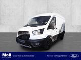 Ford Transit Trail 350 L2H2 170PS Techno 10 Allwetter