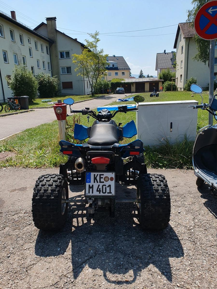 Arctic Cat 300 2011 — photo 6