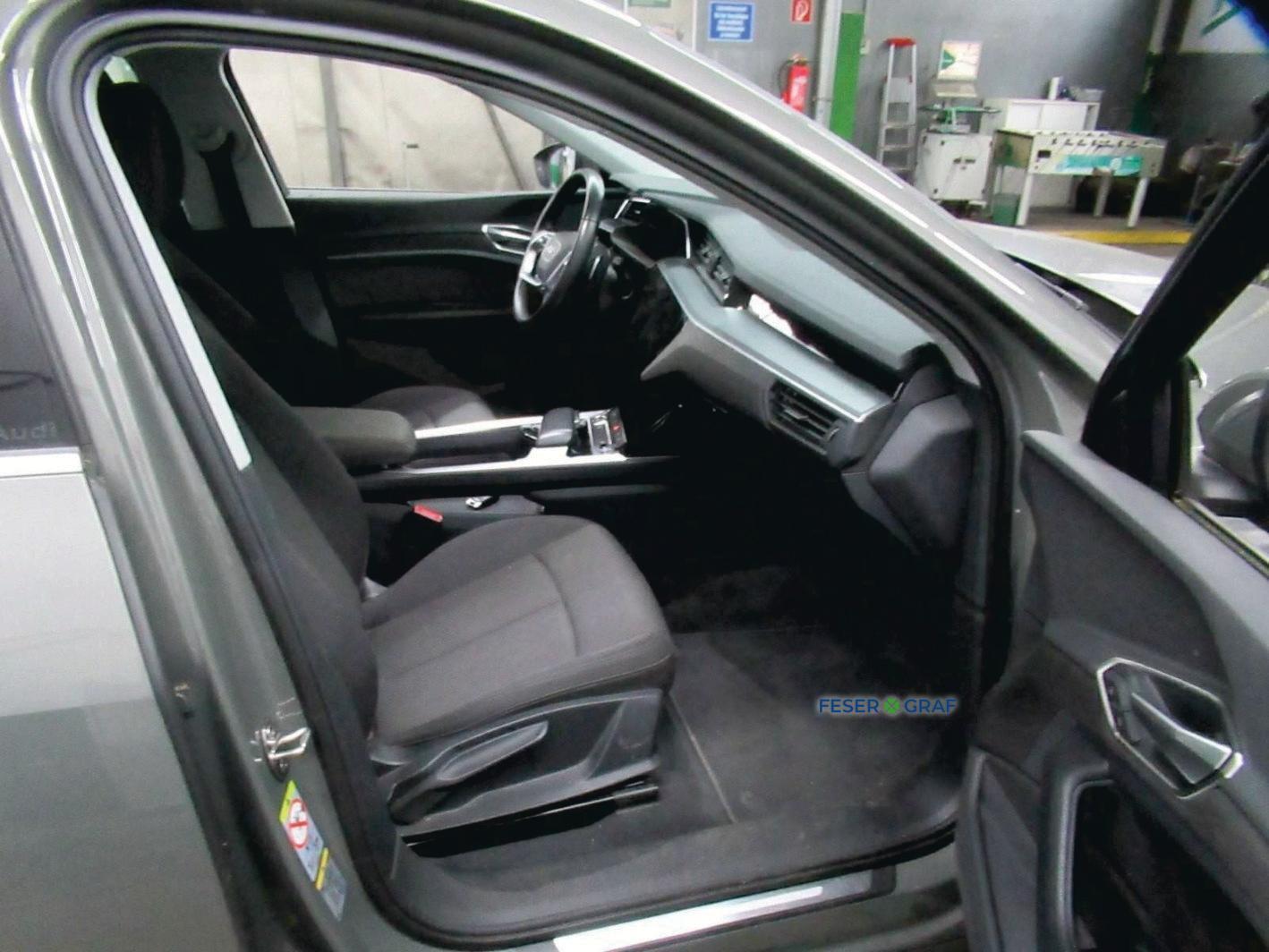 Audi Q8 e-tron 55 quattro advanced LED/Air Susp./Kame