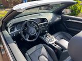 Audi S5 3.0 TFSI S tronic quattro Cabriolet - - mit Benzin-Antrieb: Sitzbelüftung, Cabrio