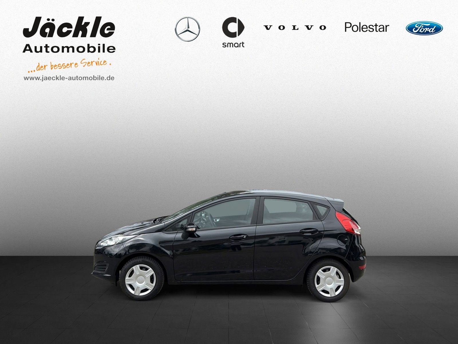 Fahrzeugabbildung Ford Fiesta Sync Edition, WINTER-PAKET