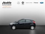Ford Fiesta Sync Edition, WINTER-PAKET - Ford Fiesta: Sync Edition
