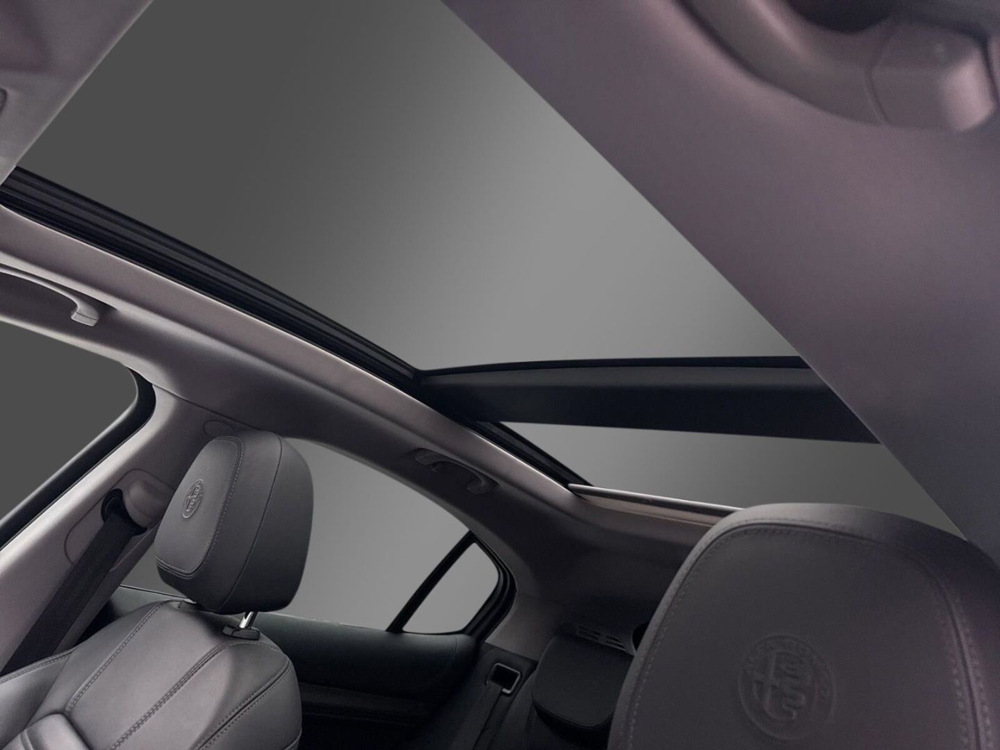 Fahrzeugabbildung Alfa Romeo Stelvio Super Q4 -Panoramadach-Xenon-AHK-