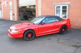 Ford Mustang Convertible IV 3.8 V6 - gebrauchte Ford Mustang aus dem Jahr 1998
