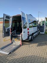 Mercedes-Benz Mercedes sprinter 313 - Mercedes-Benz Sprinter in Braunschweig