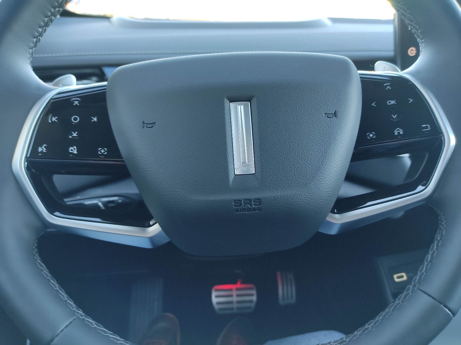 GWM Wey 05 - Bild 21