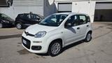 Fiat Panda 1.3 MJT 80 CV S&S Easy - Fiat Panda EASY mit Diesel-Antrieb
