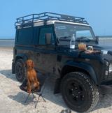 Land Rover Defender 90 Td4 Station Wagon SE SE  TÜV 10.2027 - Land Rover Gebrauchtwagen von 2008