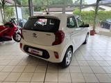 Kia Picanto Edition 7 - Kia Picanto Gebrauchtwagen in Chemnitz
