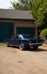 Ford Mustang  - Ford Mustang aus 1966: Coupe