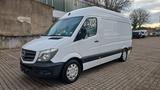Mercedes-Benz Sprinter 316 CDI Hahlbrock Kühlfahrzeug  - Kühlfahrzeug gebraucht