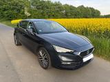 Seat Leon 2.0 TDI DSG 110kW Xcellence Plus  - Seat Leon 1P mit Diesel-Antrieb
