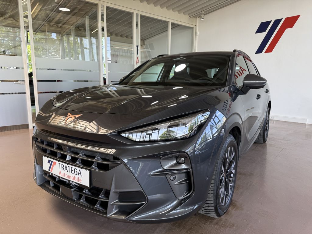 Image of Cupra Terramar