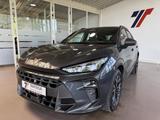 Cupra Terramar 2.0 TSI 4Drive AHK Pano HUD 360° RPA  - graue Cupra Terramar