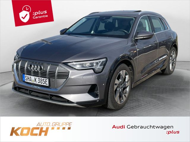 Audi e-tron 55 q., Matrix LED, Pano, ACC, inkl. Winte