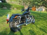 Harley-Davidson Sportster XL 1200C - Angebote