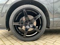 Cupra Terramar - Vorschau Bild 13