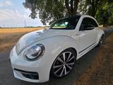 Volkswagen VW Beetle Club Panorama weiss - Volkswagen Beetle: Kleinwagen