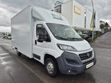 Fiat Ducato*neuer Motor*1.Hand* - Fiat Ducato Gebrauchtwagen in Stuttgart