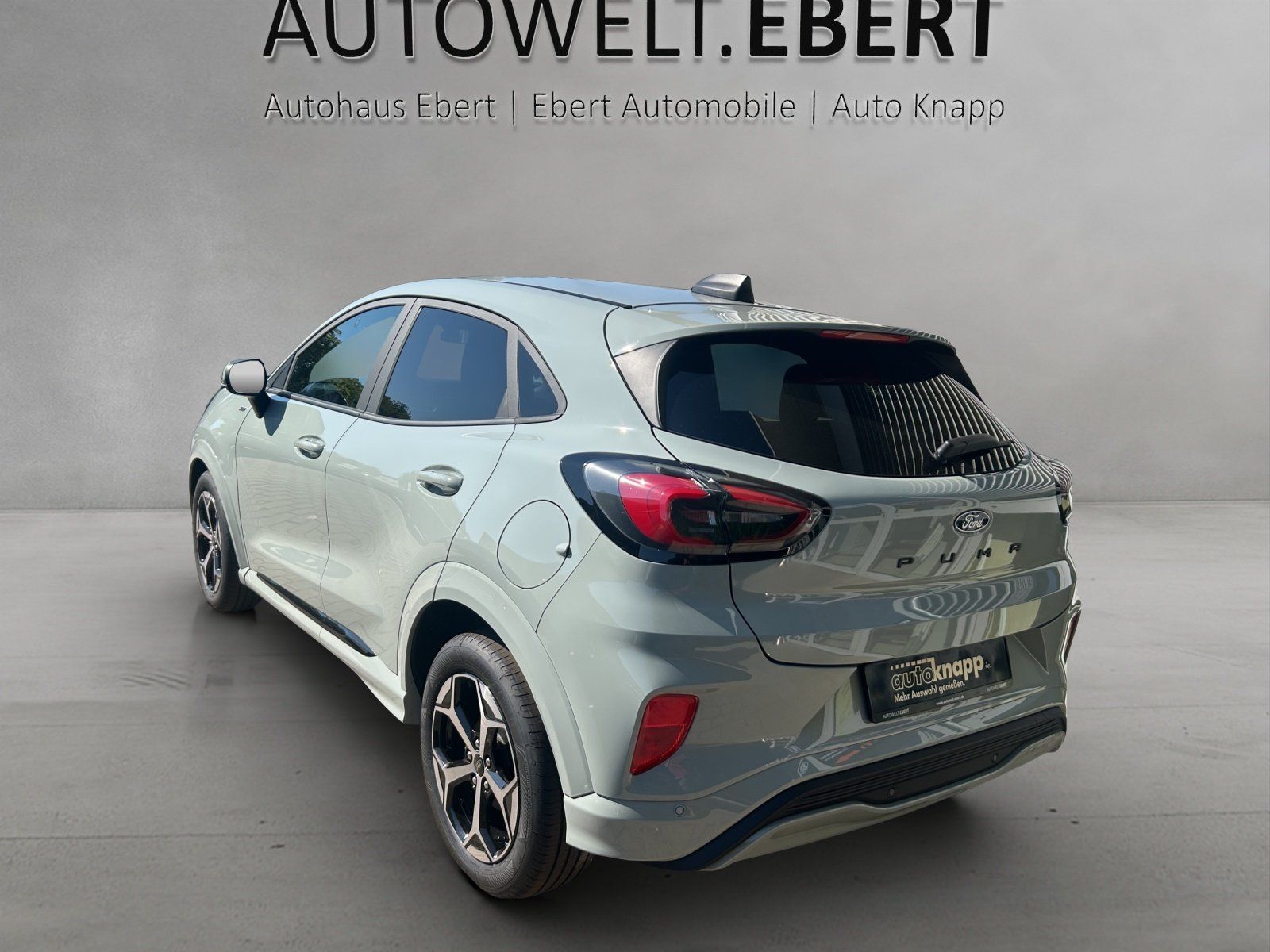 Fahrzeugabbildung Ford Puma ST Line,FGS 3.-5 Jahr bis 100 000KM