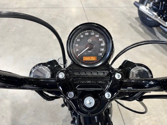 Fahrzeugabbildung Harley-Davidson Forty Eight 1200 Special Miller Auspuff
