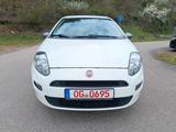 Fiat Punto Young, TÜV02/27, 87TKM, Klima, gepflegt - Fiat Punto mit Benzin-Antrieb: Limousine, Schaltgetriebe