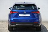 Lexus NX 300h E-FOUR F Sport - Lexus aus 2018