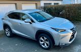 Andere Lexus NX200t  AWD Turbo Luxury Line wie ... - Andere: mit ABS, mit Klimaanlage