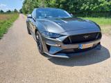 Ford Mustang GT 5.0 V8 Fastback MagneRide M 55-Paket - Ford Mustang: Coupé, Fastback