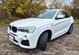 BMW X4 xDrive20d M Sport Standheizung Kamera - BMW X4: M Sport X