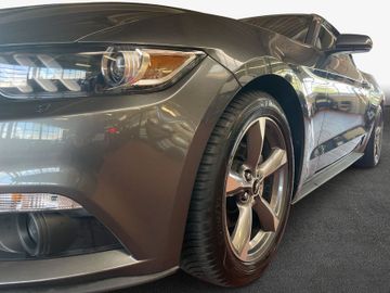 Ford Mustang - 6