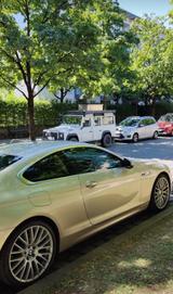 BMW 650 xi Allrad, voll, Standheizung - BMW: V6