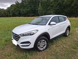 Hyundai TUCSON 1.6 GDI Pure Pure - Hyundai Tucson Pure mit Benzin-Antrieb