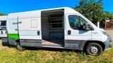 Fiat fiat Ducato multijet 2,3 - Fiat Ducato in Wiesbaden